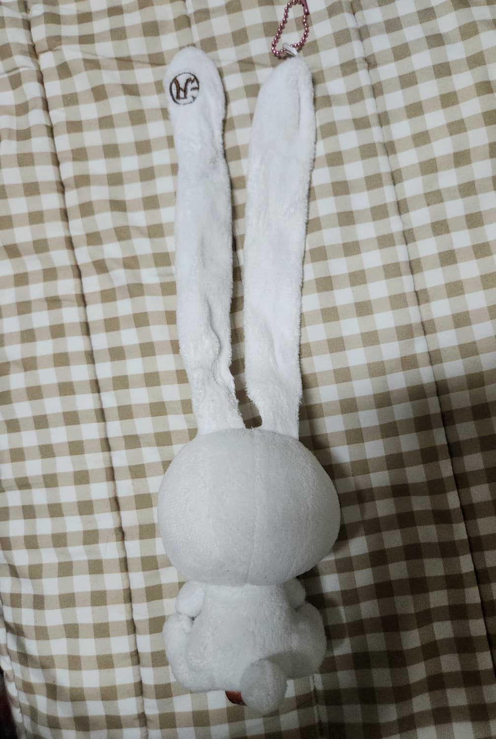 글루미베어 범용토끼 화이트 별 상품이미지2