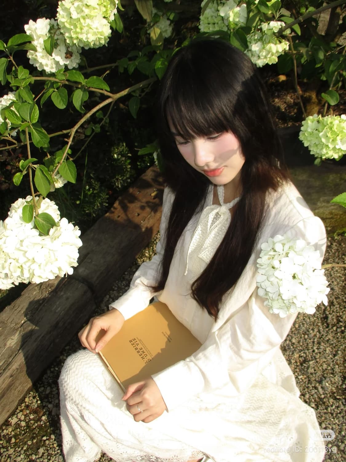 작례🪽캐논 익시 150(IXY 150, IXUS 160) 빈티지 디카 상품이미지7