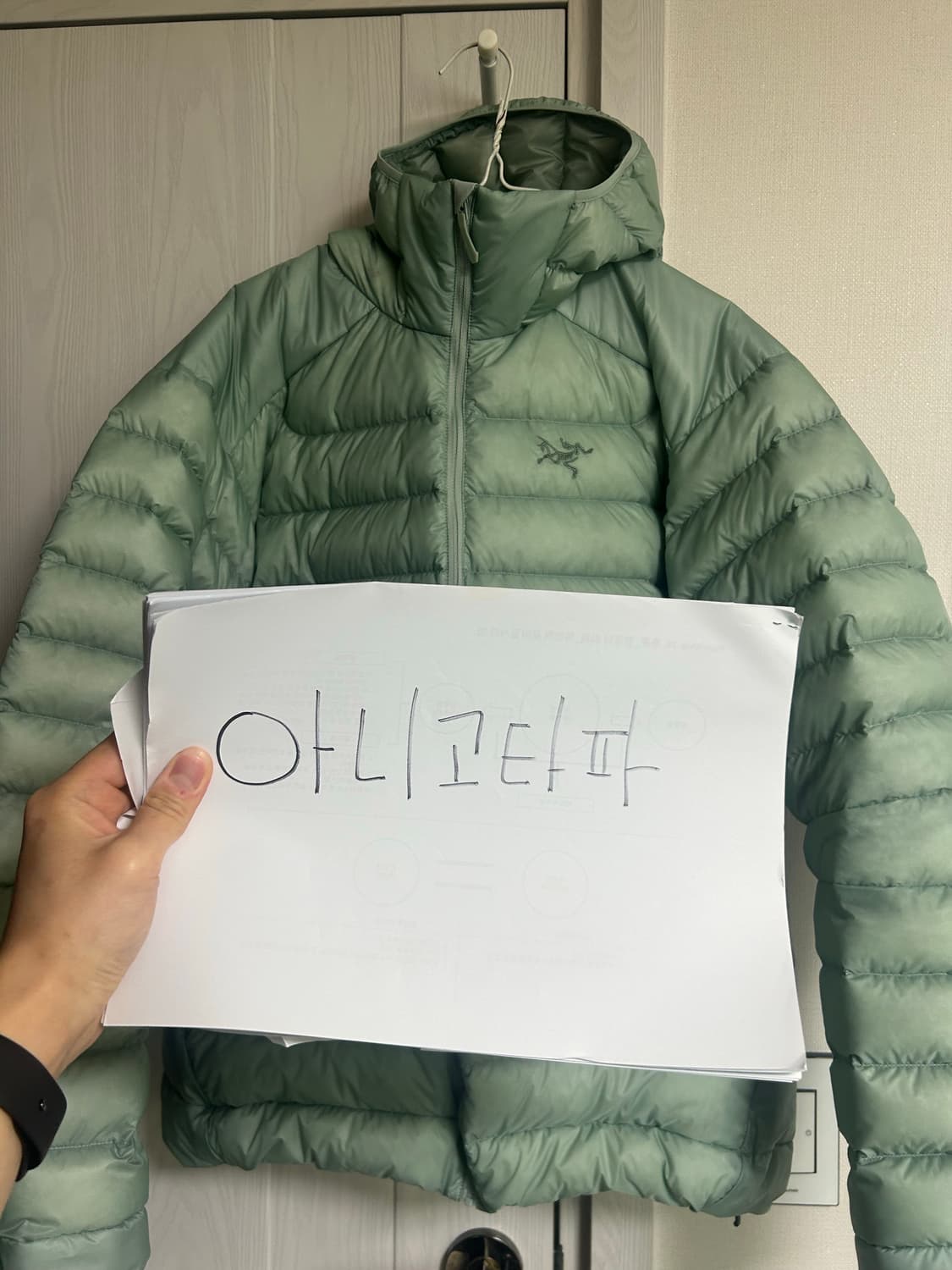 아크테릭스 세륨 후디 스톤그린 L (국내판) 상품이미지3