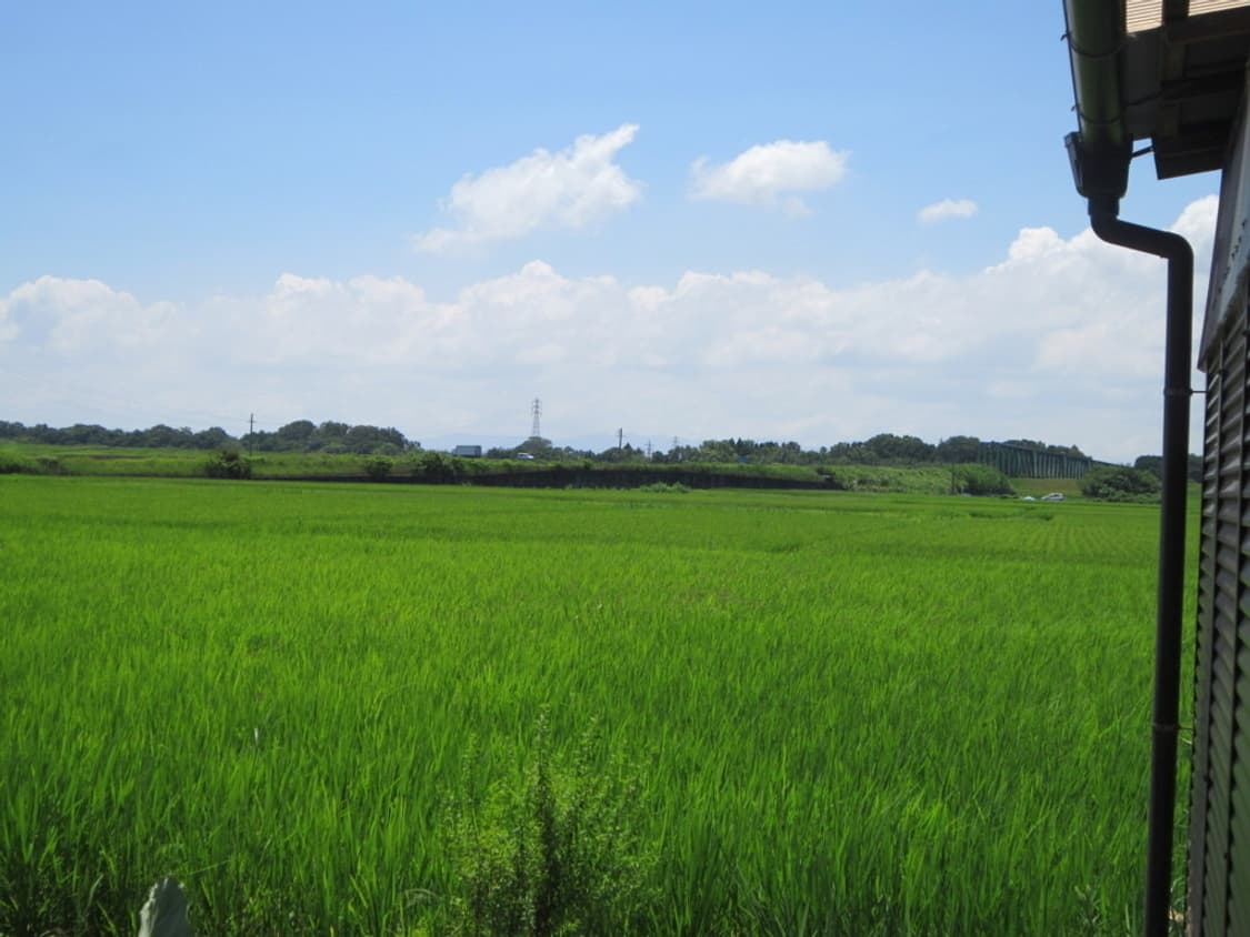 캐논 파워샷 Canon PowerShot A3200 IS 실버 상품이미지4