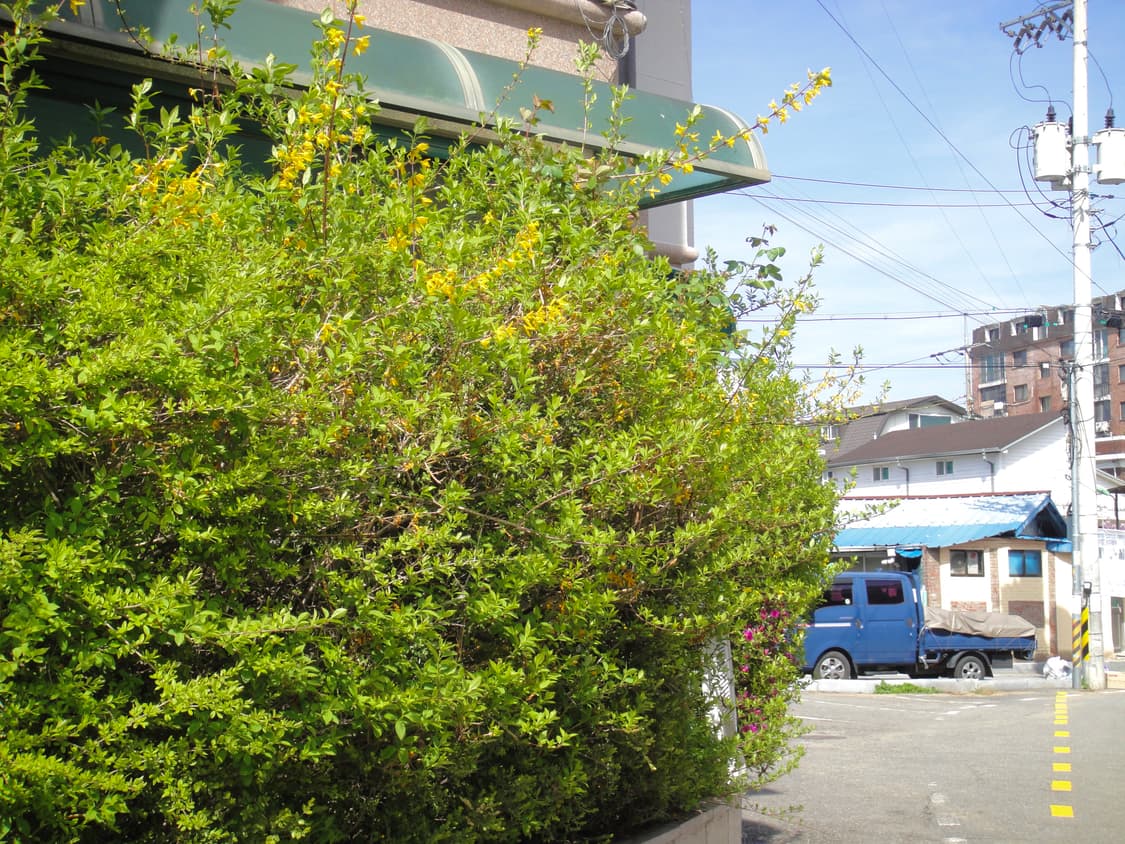 소니 사이버샷 DSC-T90 [작례⭕️, 입문디카 추천] 상품이미지6