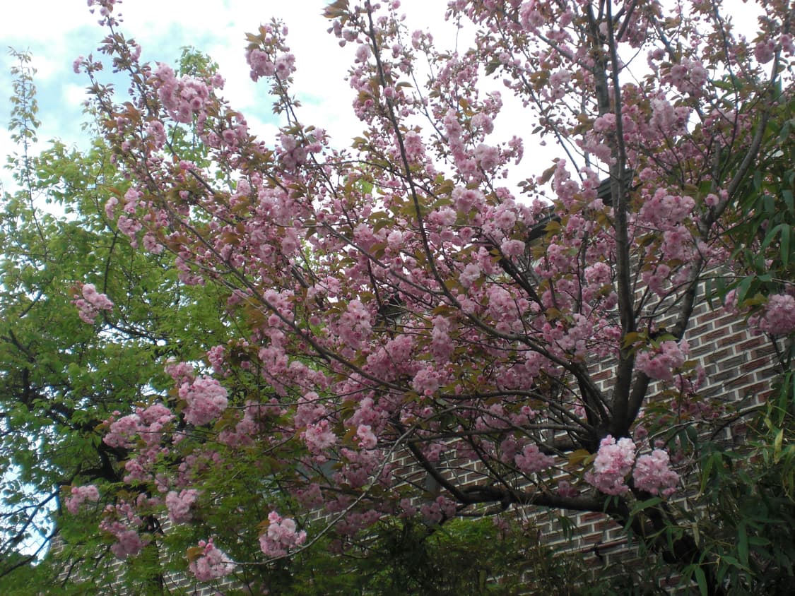 작례O) casio exilim ex-z20 카시오 엑슬림 디카 상품이미지8