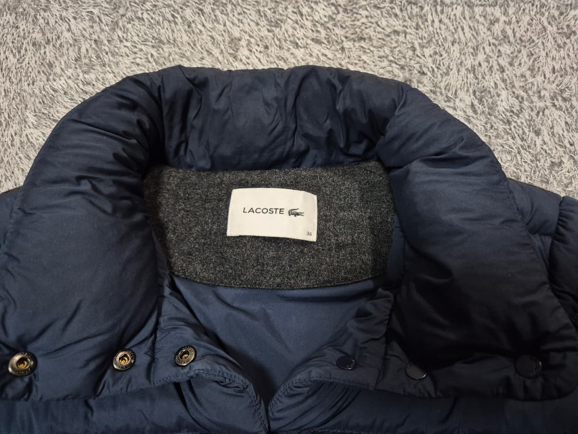 라코스테 여성 구스다운 패딩 36(95) 상품이미지3