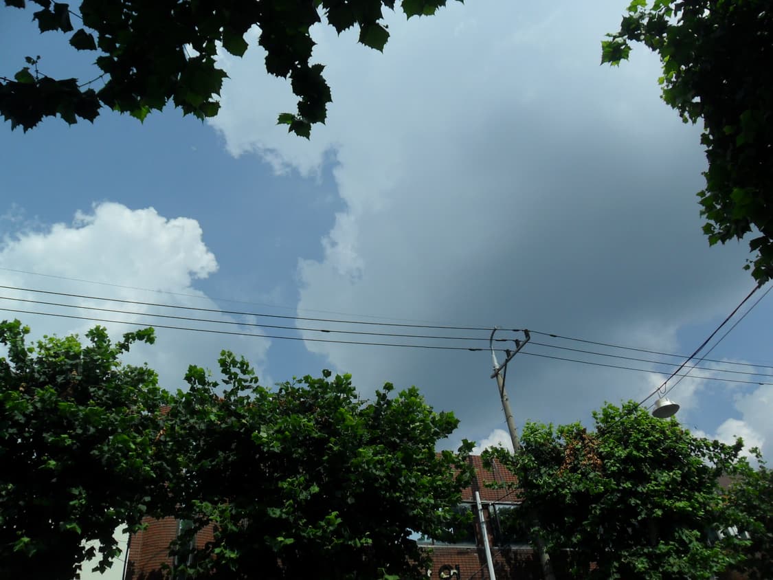 삼성 ES25 디지털카메라  상품이미지10