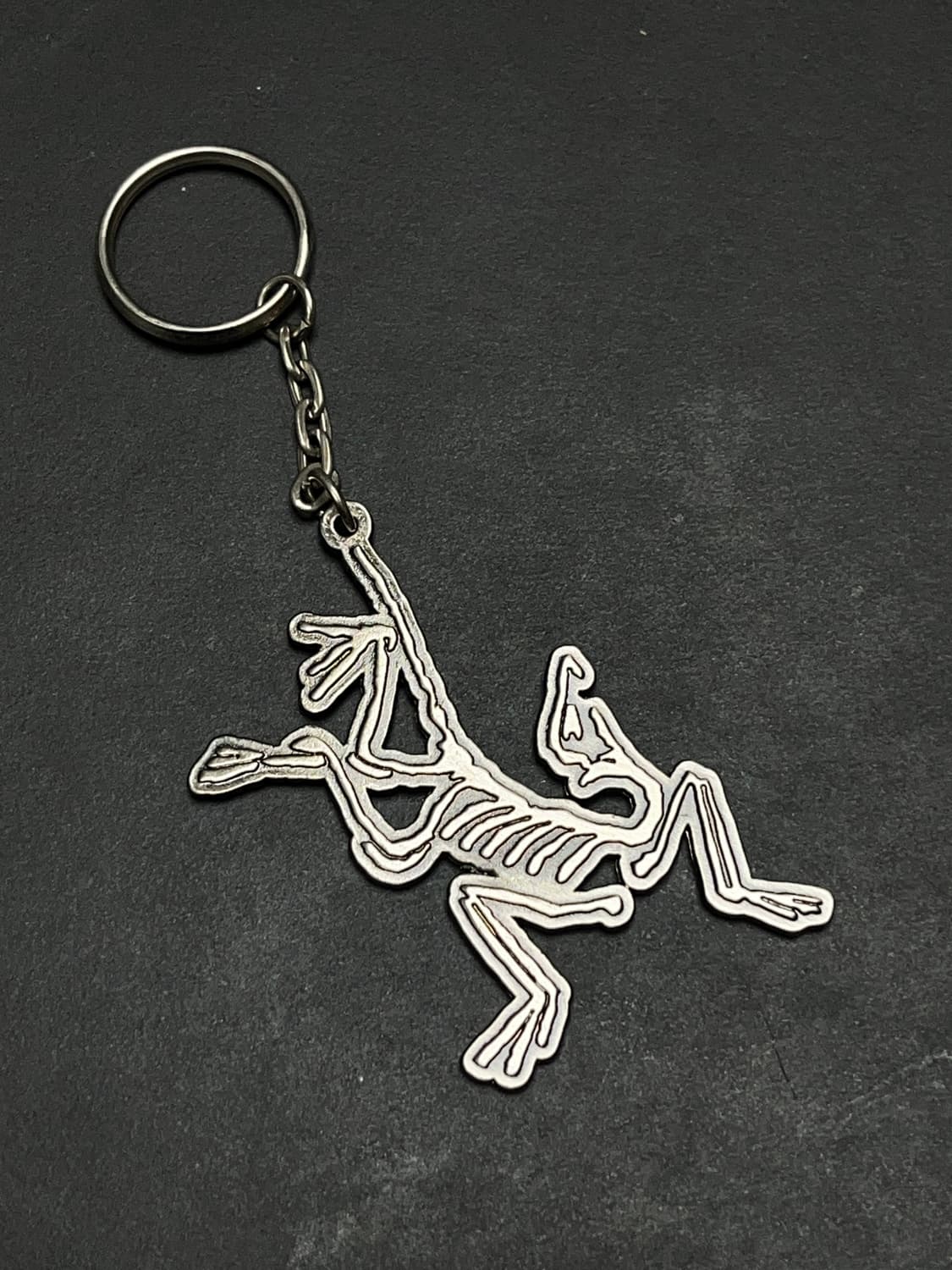 아크테릭스 키링 상품이미지1