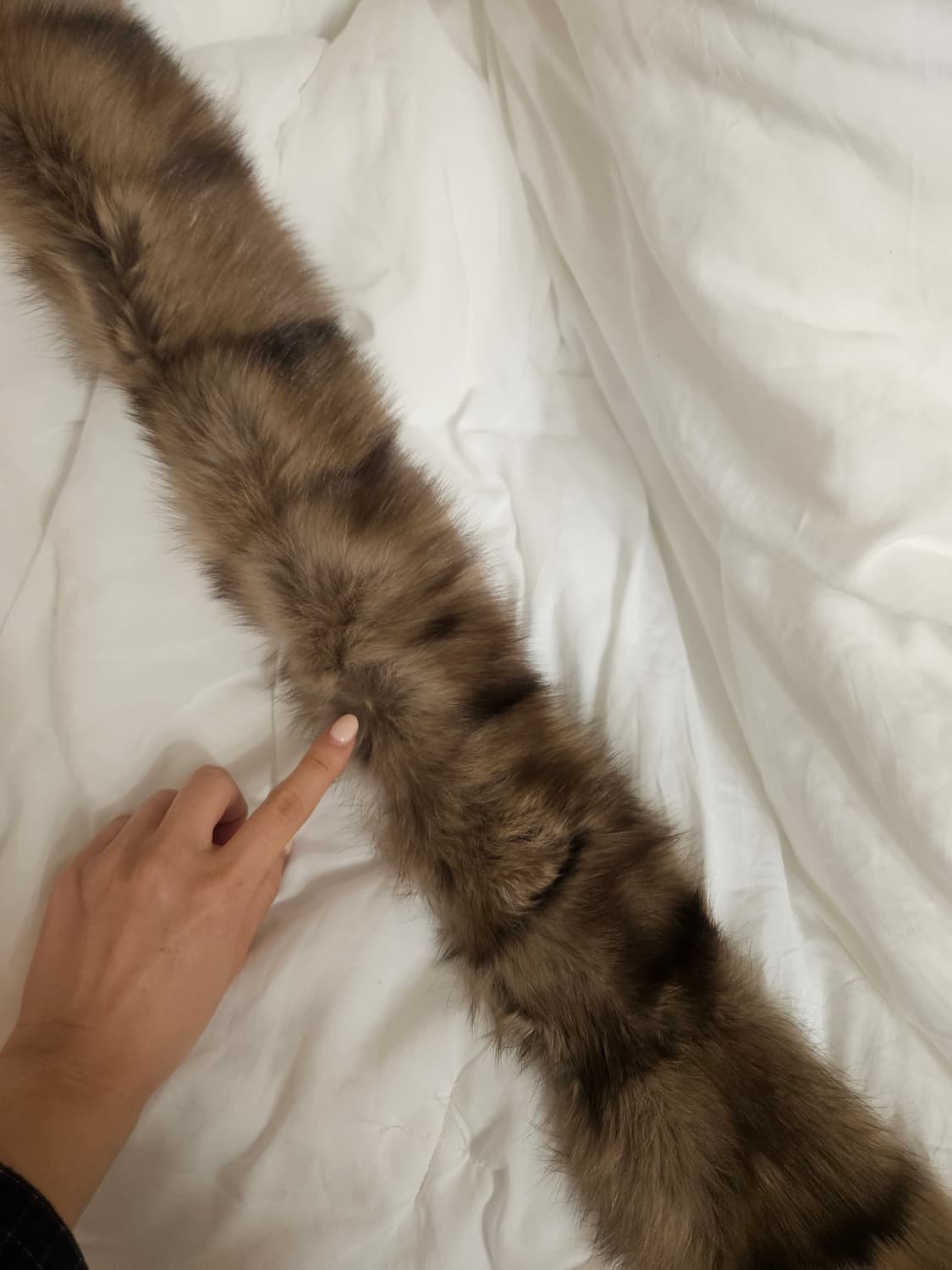 세이블 캐시미어 미니 머플러 상품이미지5