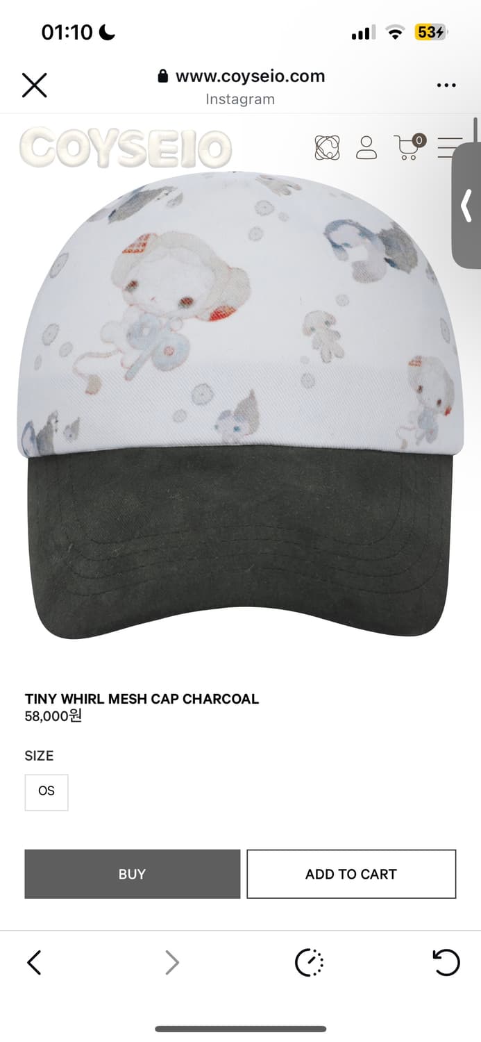 코이세이오 타이니 월 모자 차콜 상품이미지1