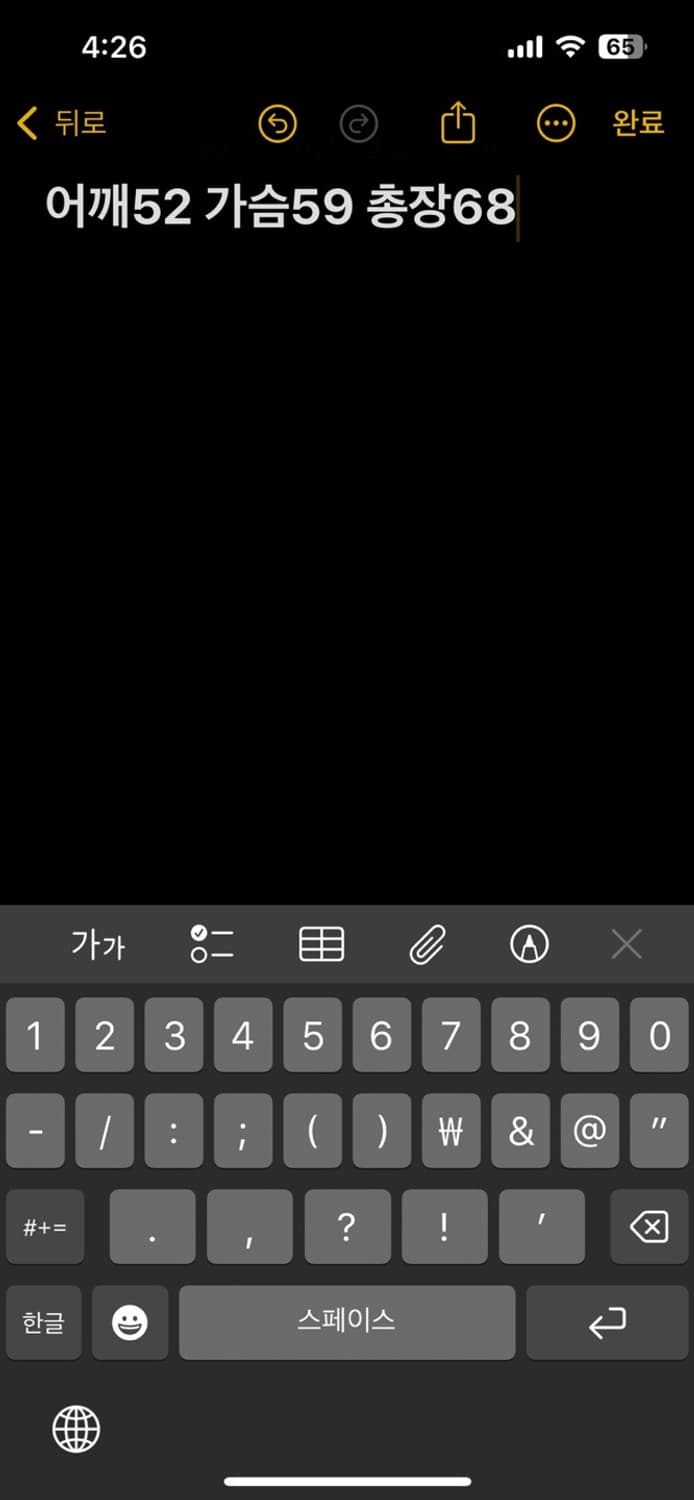 노스페이스 눕시 경량패딩 상품이미지5