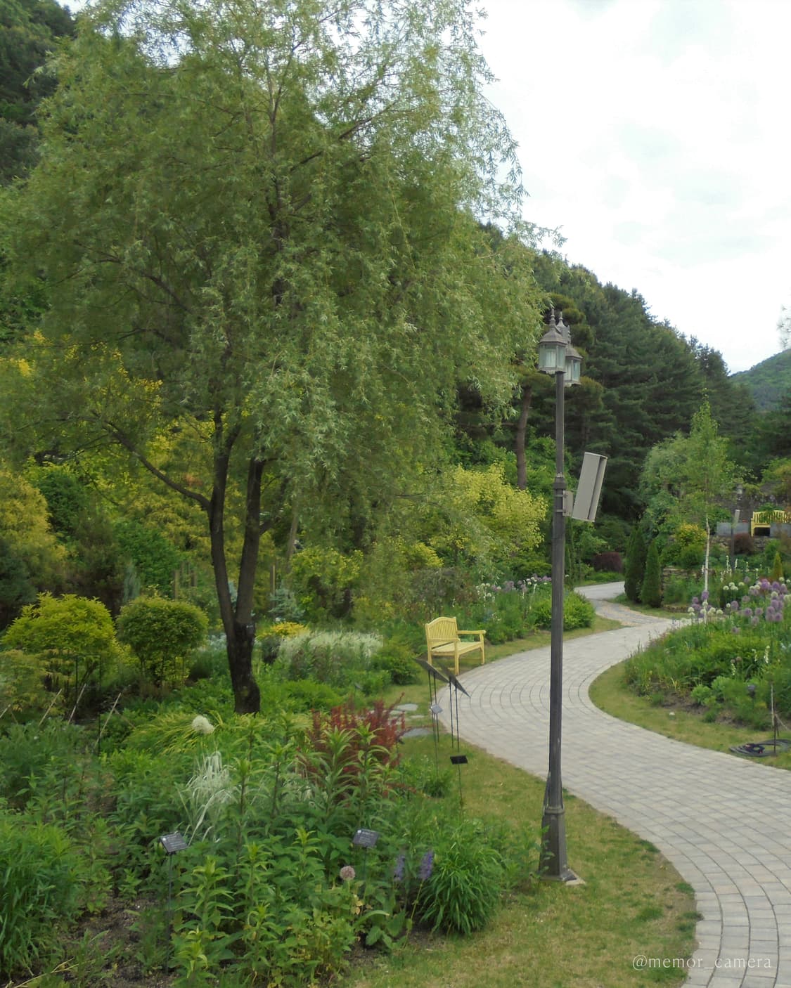 아이브레이픽🪽Sony DSC-W810 소니 디카 빈티지카메라 상품이미지7