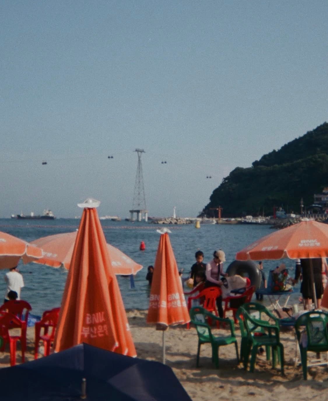 트리밍버드 필름카메라 상품이미지7