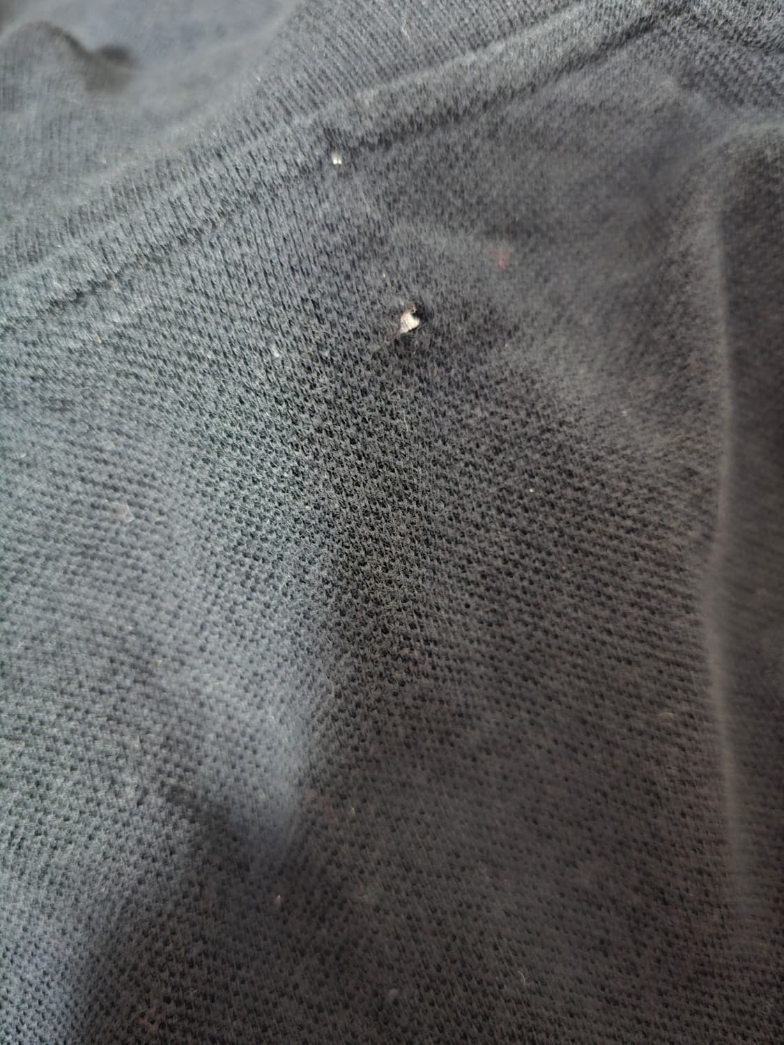 꼼데가르송 카라반팔티 상품이미지6