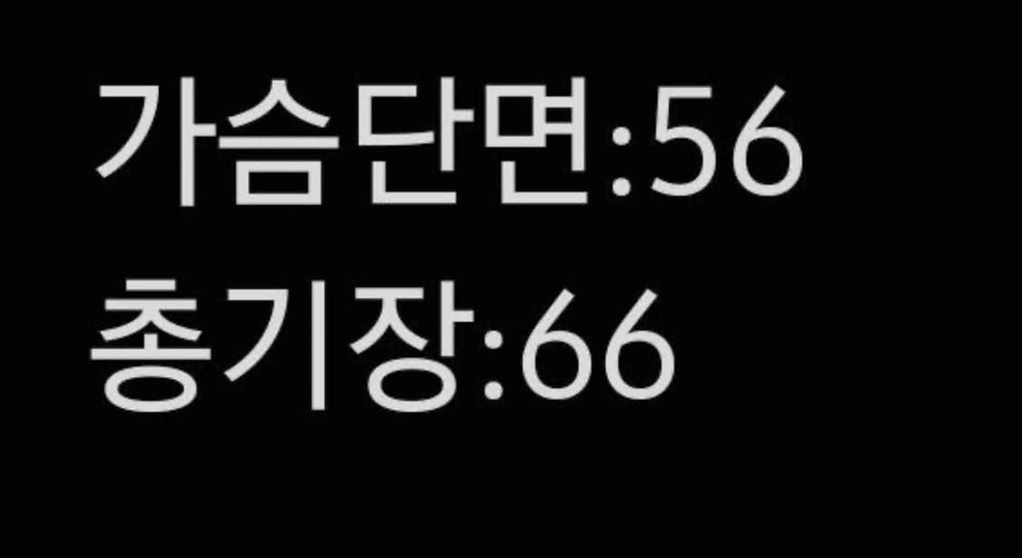 [정품/100] 노스페이스 여성 경량 패딩 상품이미지5