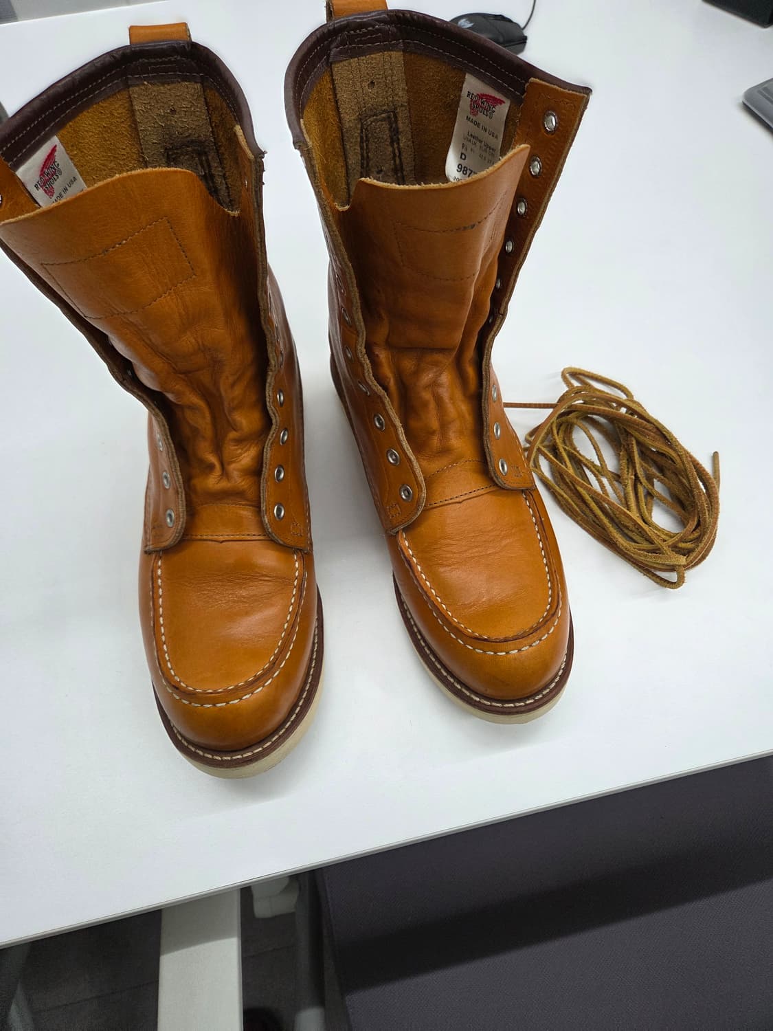 레드윙 9877 아이리쉬세터 9.5 d  상품이미지1