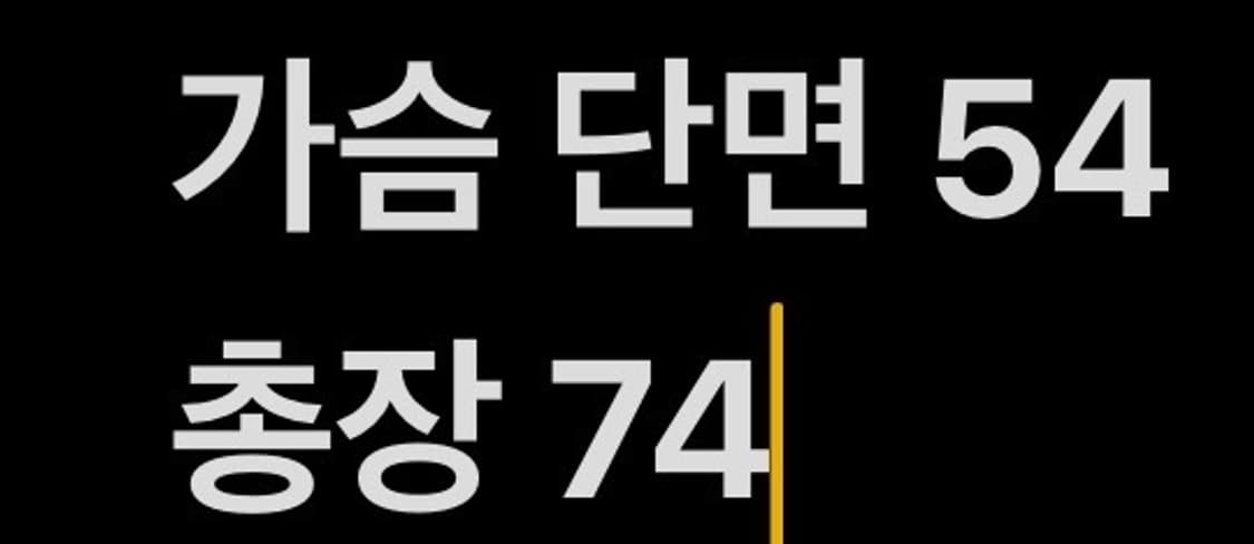  [정품/M] 롯데자이언츠 동백 반팔유니폼 b16 상품이미지7