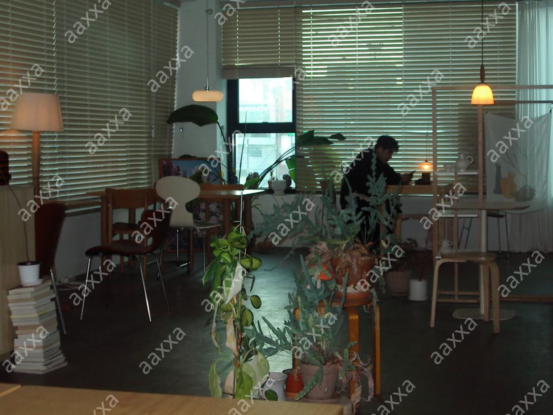 [풀박, 작례⭕️] 펜탁스 옵티오 230 pentax optio 상품이미지8