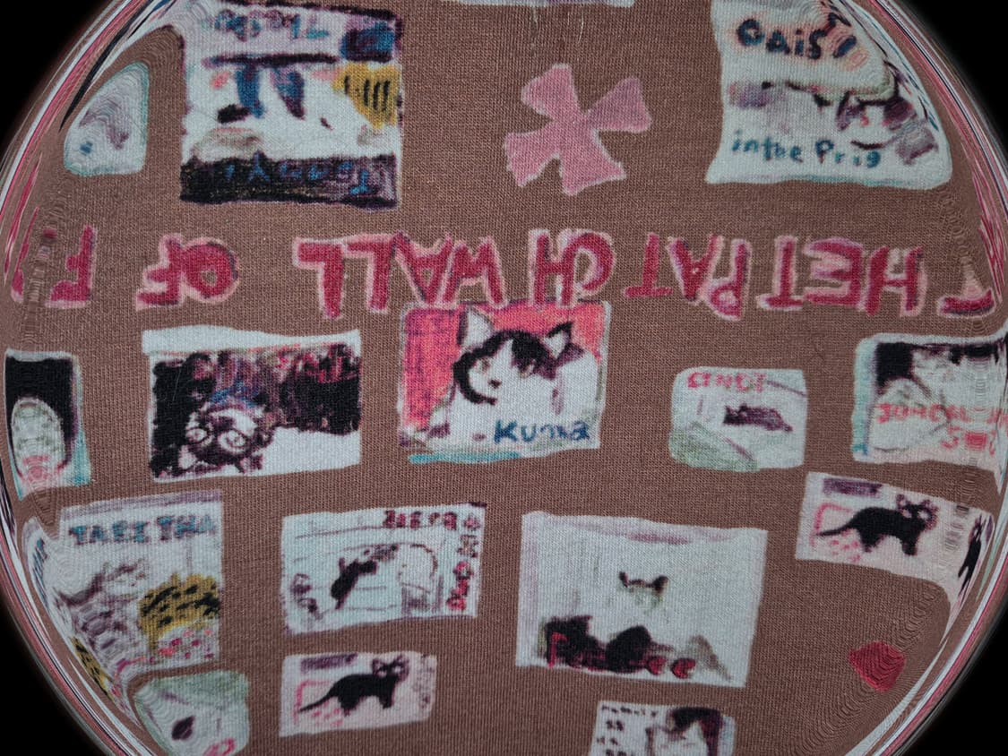 Vintage Cat letter top 상품이미지2