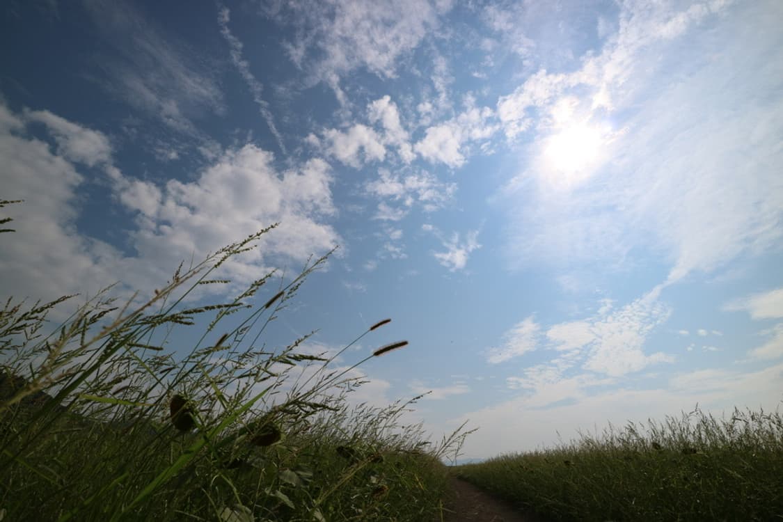 캐논 EOS Canon EOS M3 화이트 상품이미지2