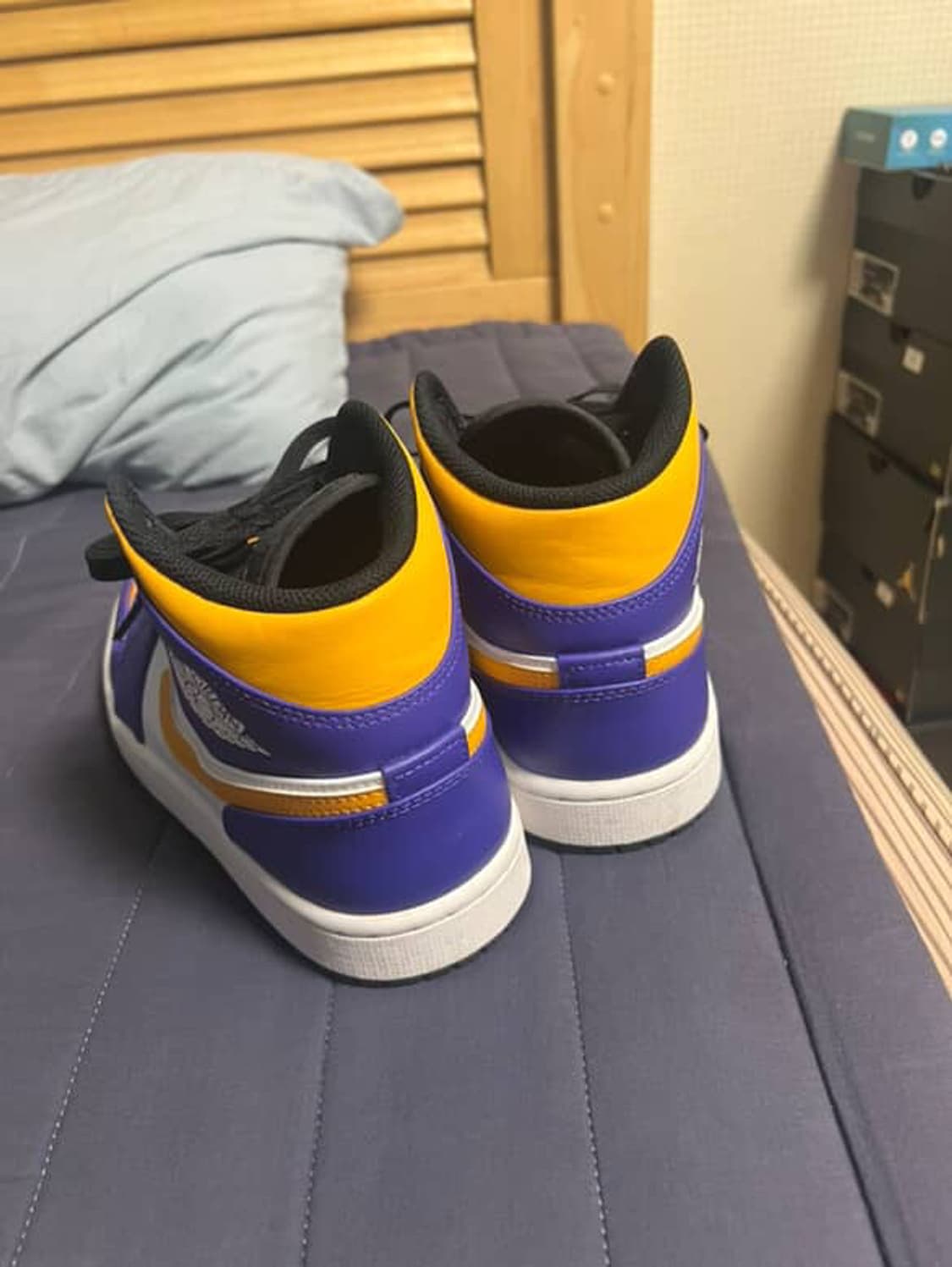 콩코드 택시 265 상품이미지3