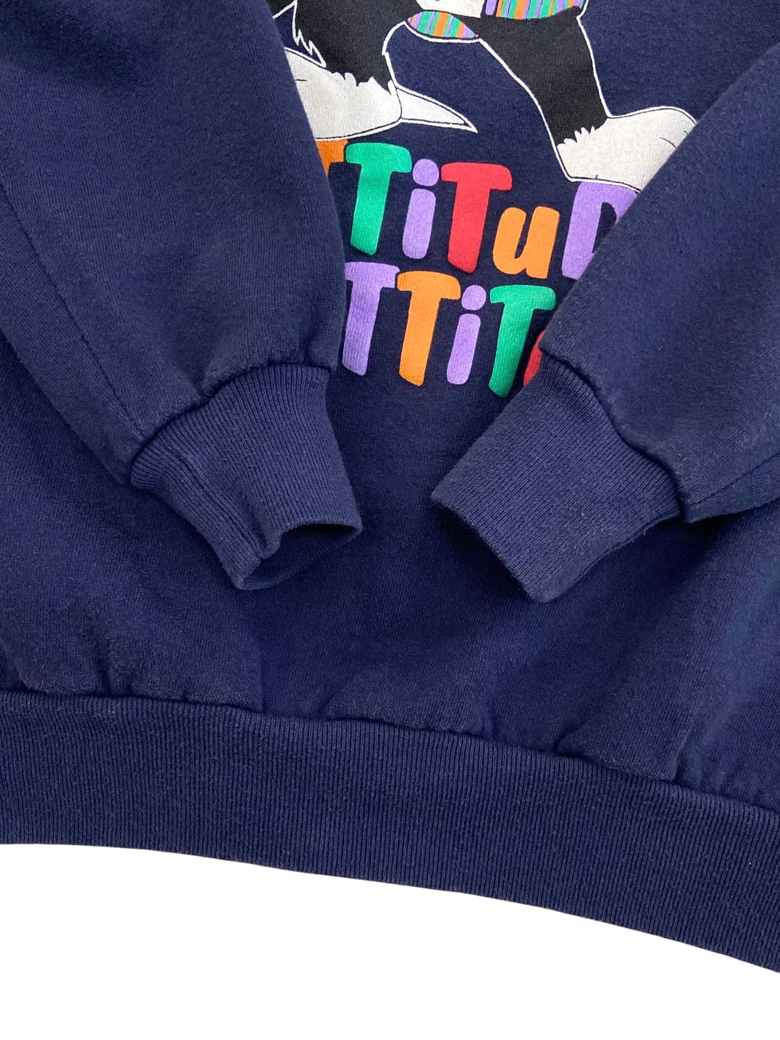 90's 루니튠즈 실베스터 50/50 스웻셔츠 상품이미지6