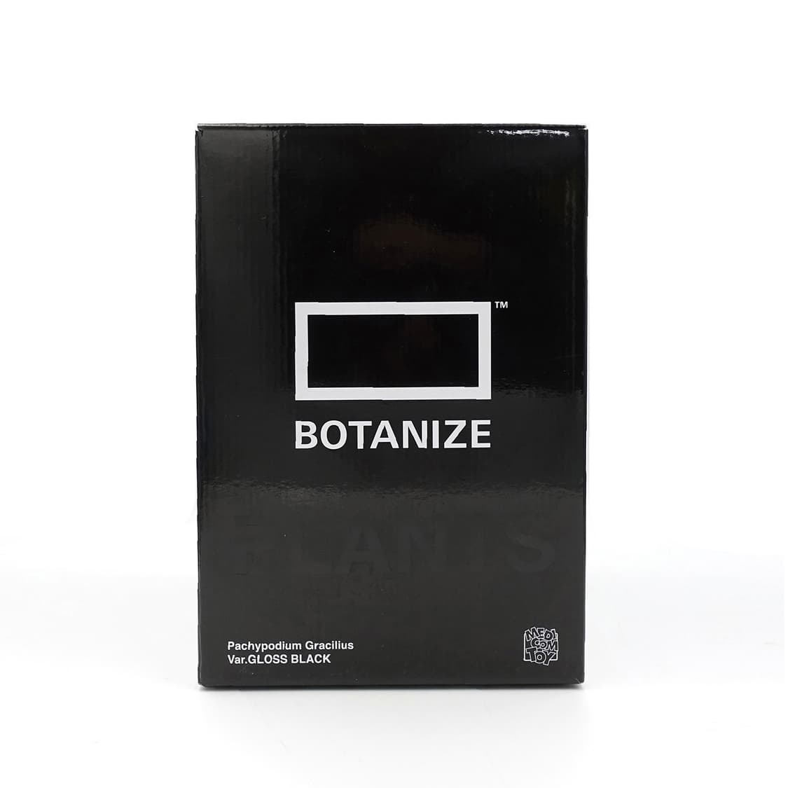 BOTANIZE 보타나이즈 메디콤토이 블랙 화이트 화분 아트토이 상품이미지2