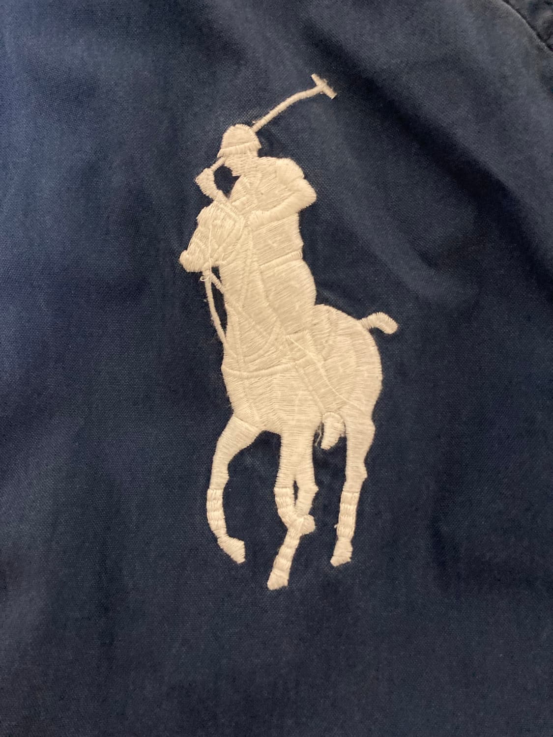 폴로 빅포니 상품이미지3