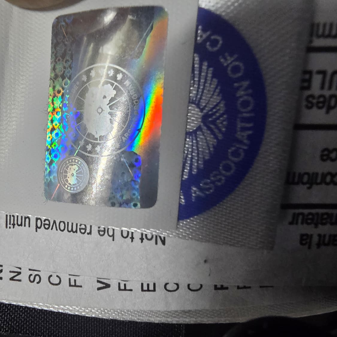 캐나다구스 익스페디션 파카 블루 색상 XL ! 상품이미지9