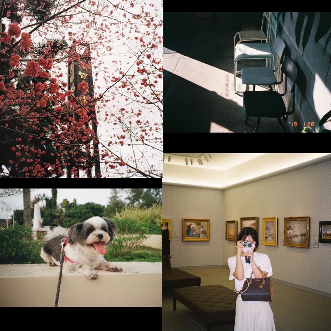 필름카메라 교세라 lynx90 (작례 0) 상품이미지3