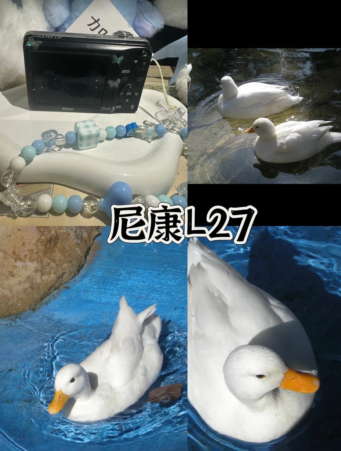 입문용추천) 니콘 쿨픽스 L27 Nikon Coolpix 작례 O 상품이미지9