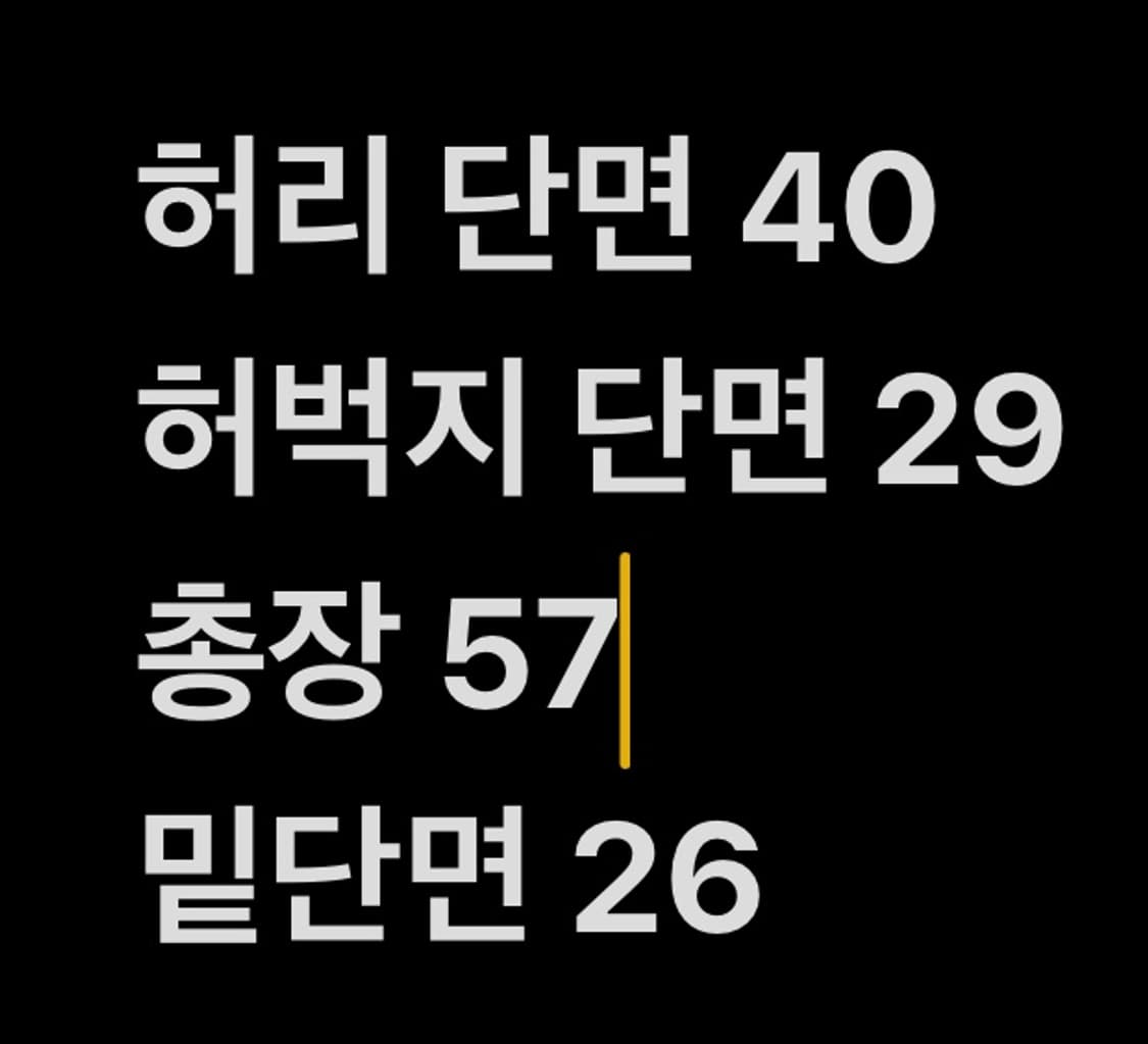 [ 정품/L ] 나이키 더블스우시 반바지 b14 상품이미지6