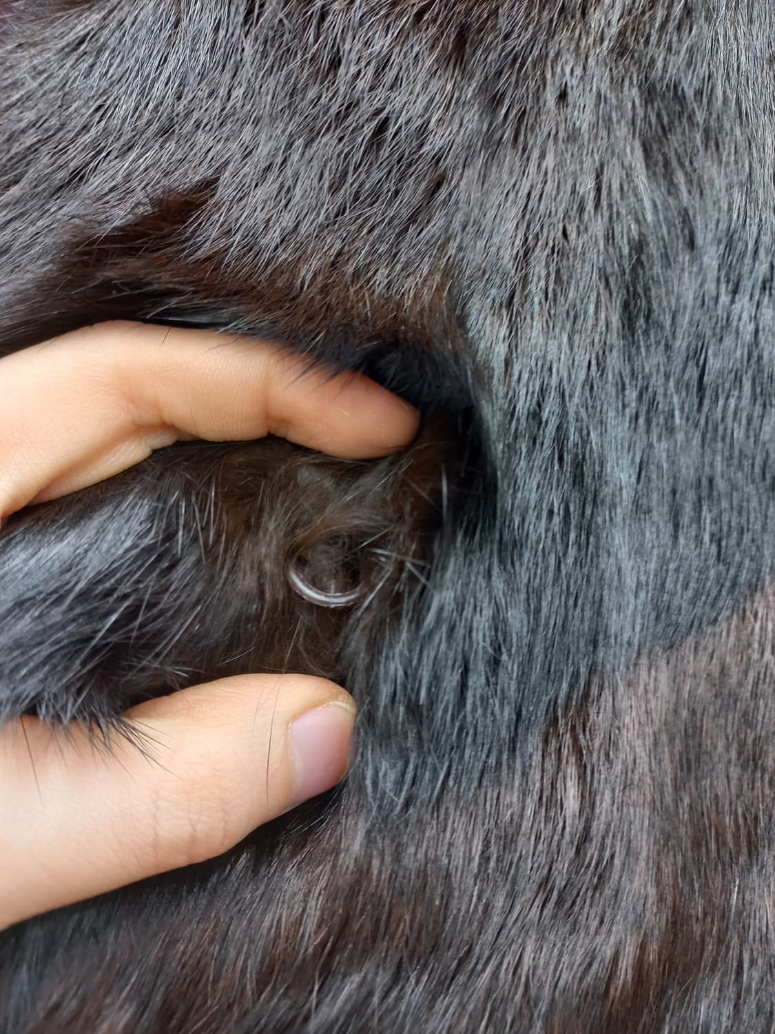 France 밍크 코트 브라운 상품이미지5