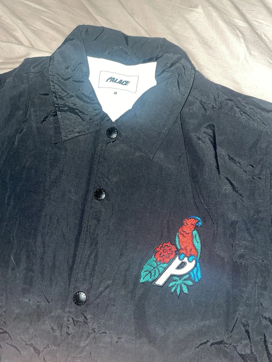 20FW 팔라스 패럿 팔라스-3 코치 자켓 블랙 상품이미지2