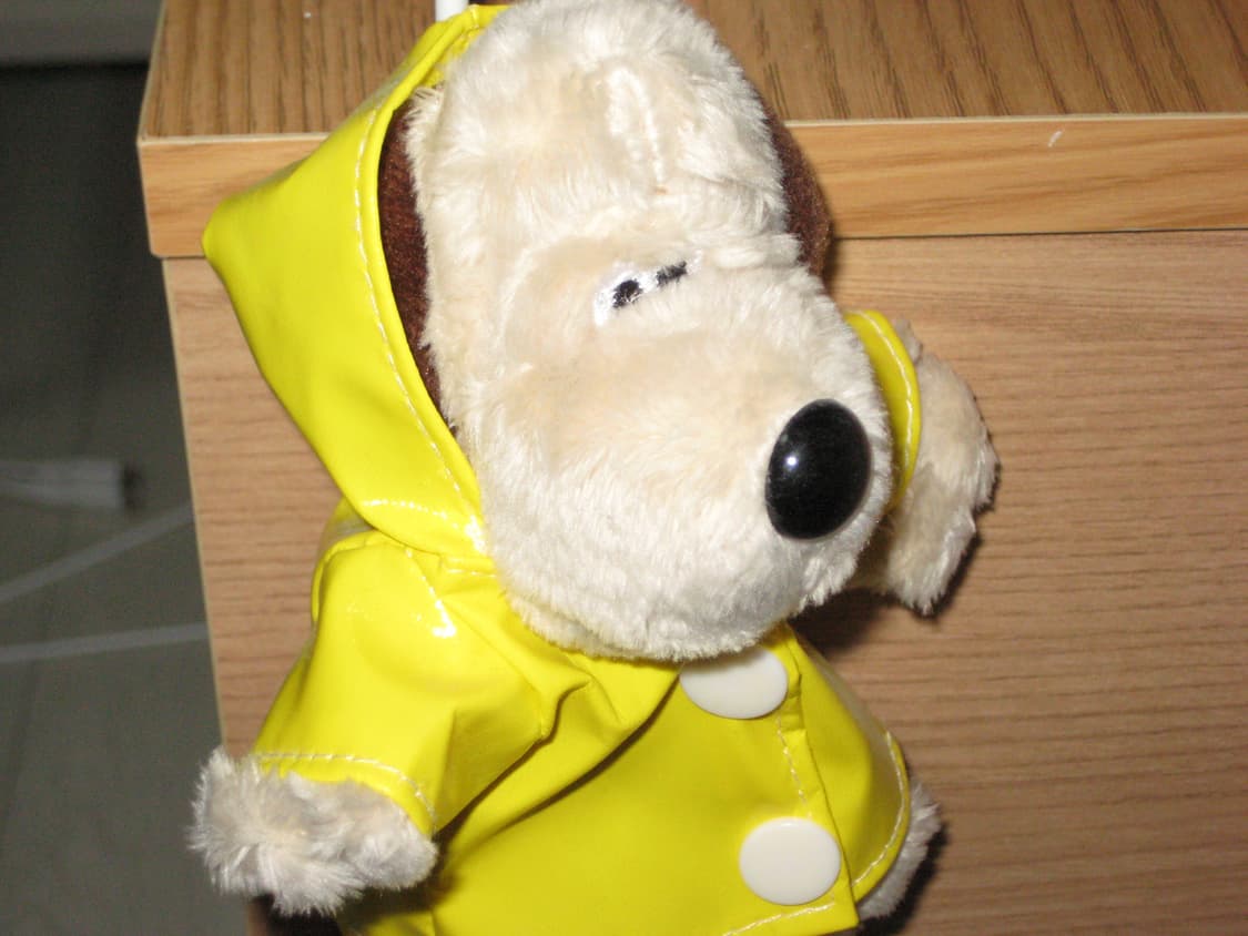 ixus70 익서스70 상품이미지10