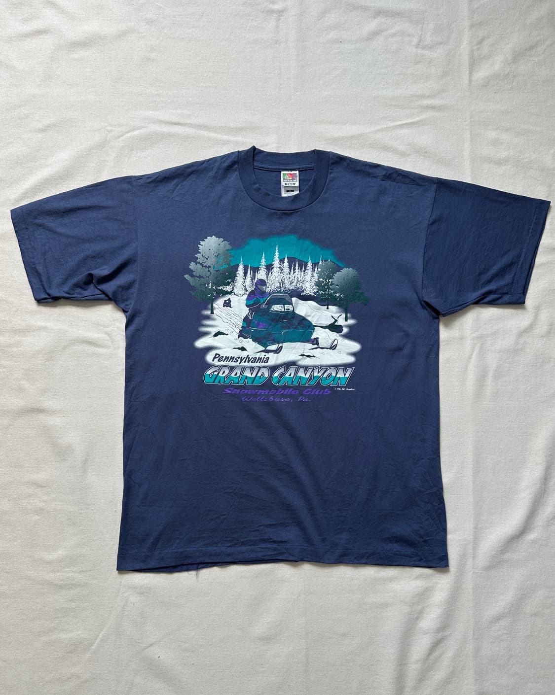 90s Fruit of the loom 펜실베니아 티셔츠 XL 상품이미지1