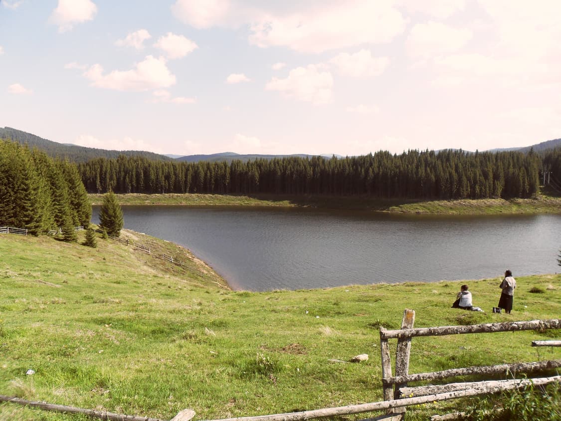 작례O 신품급 삼성 블루 vluu es28 디지털카메라 빈티지 디카 상품이미지6