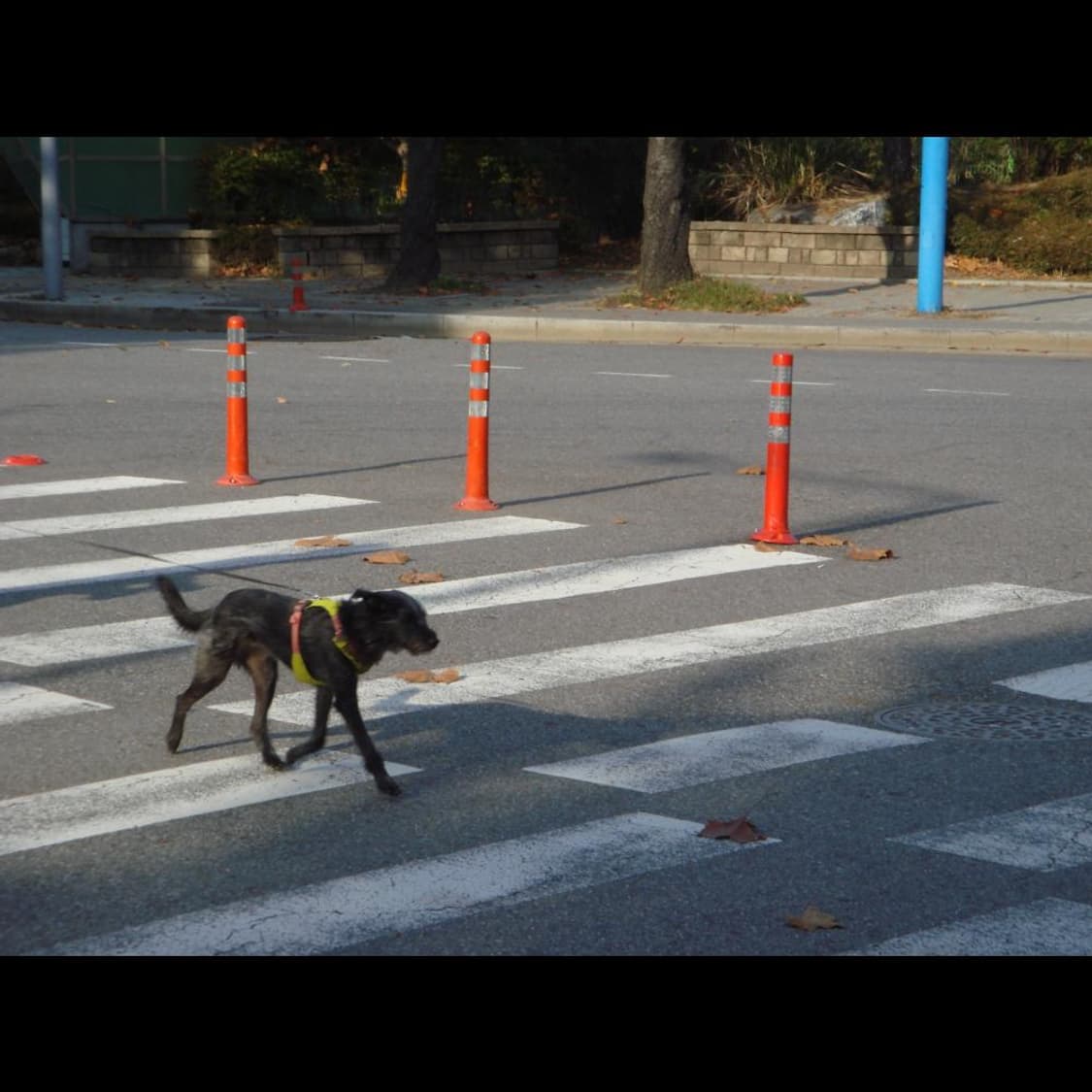 작례⭕️ 소니 DSC-T10 실버 메탈릭⌚ 상품이미지8