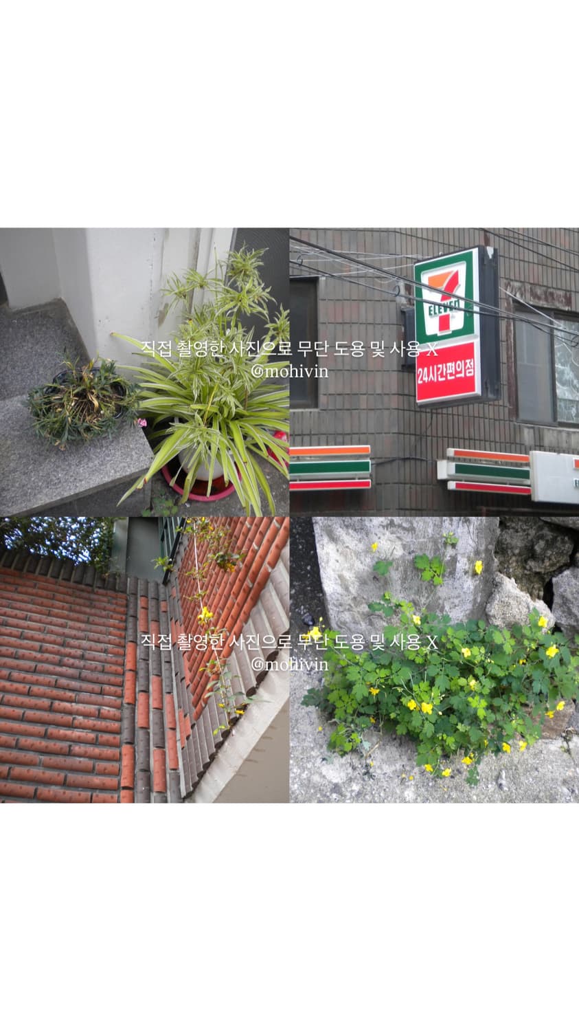 (작례) 니콘 쿨픽스 Nikon coolpix s230 디카 상품이미지8