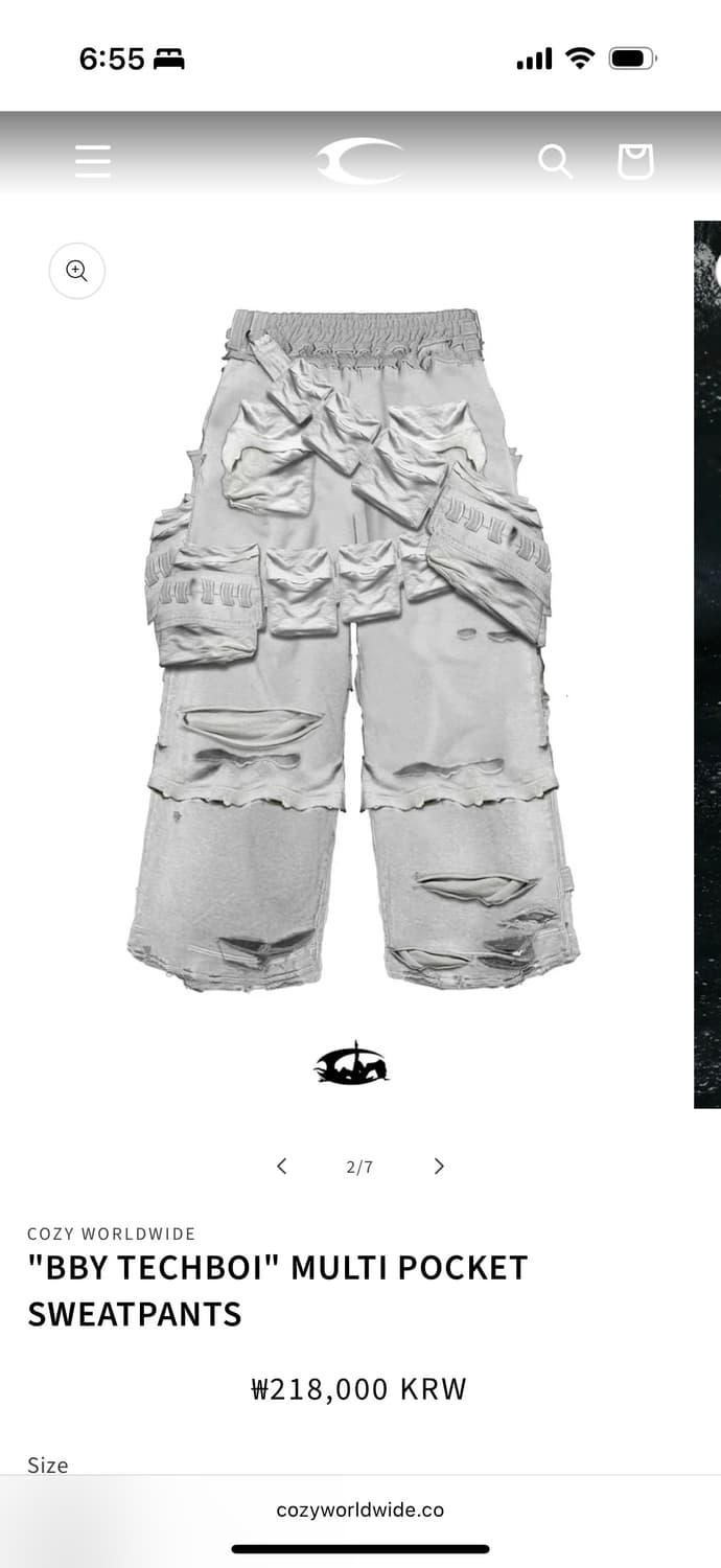 COZY WORLDWIDE "BBY TECHBOI" MULTI POCKE 상품이미지4