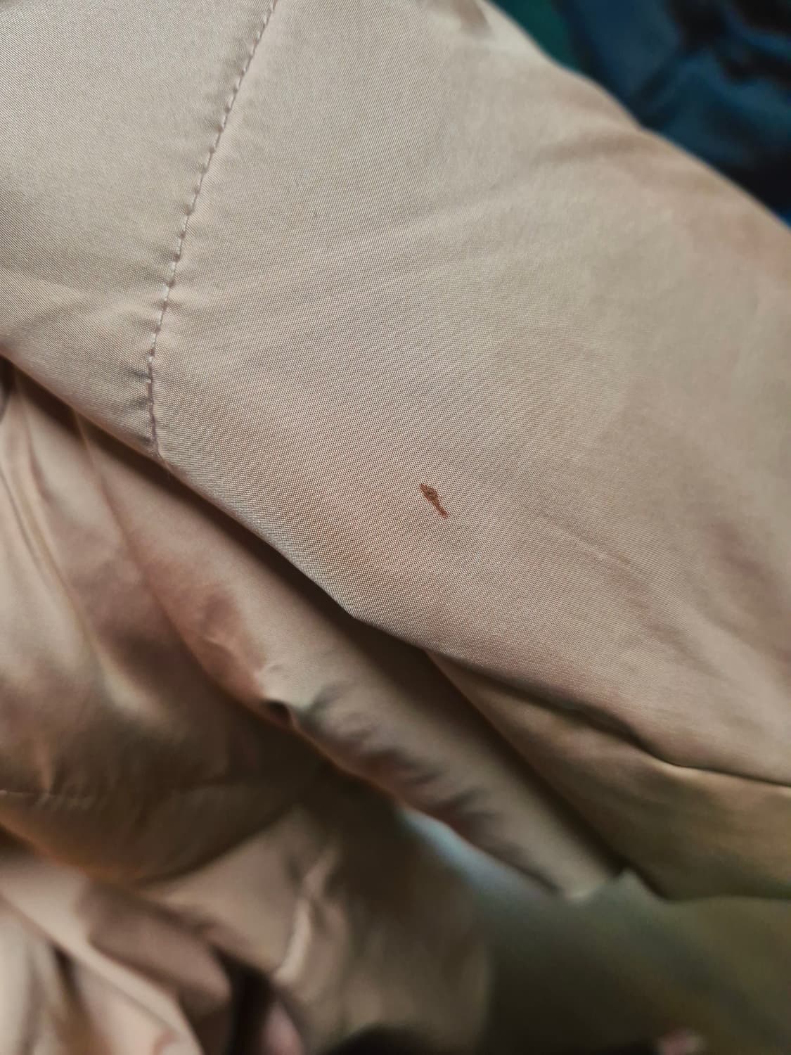 빈티지 모리걸 뮤트핑크 숏패딩 점퍼 후드 러블리 상품이미지5