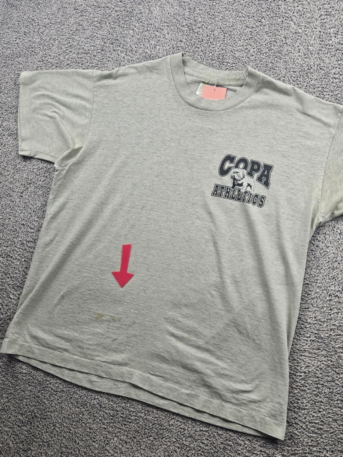 90's 프룻오브더룸 코파 싱글스티치 반팔 티셔츠 ( XL )/11466 상품이미지4