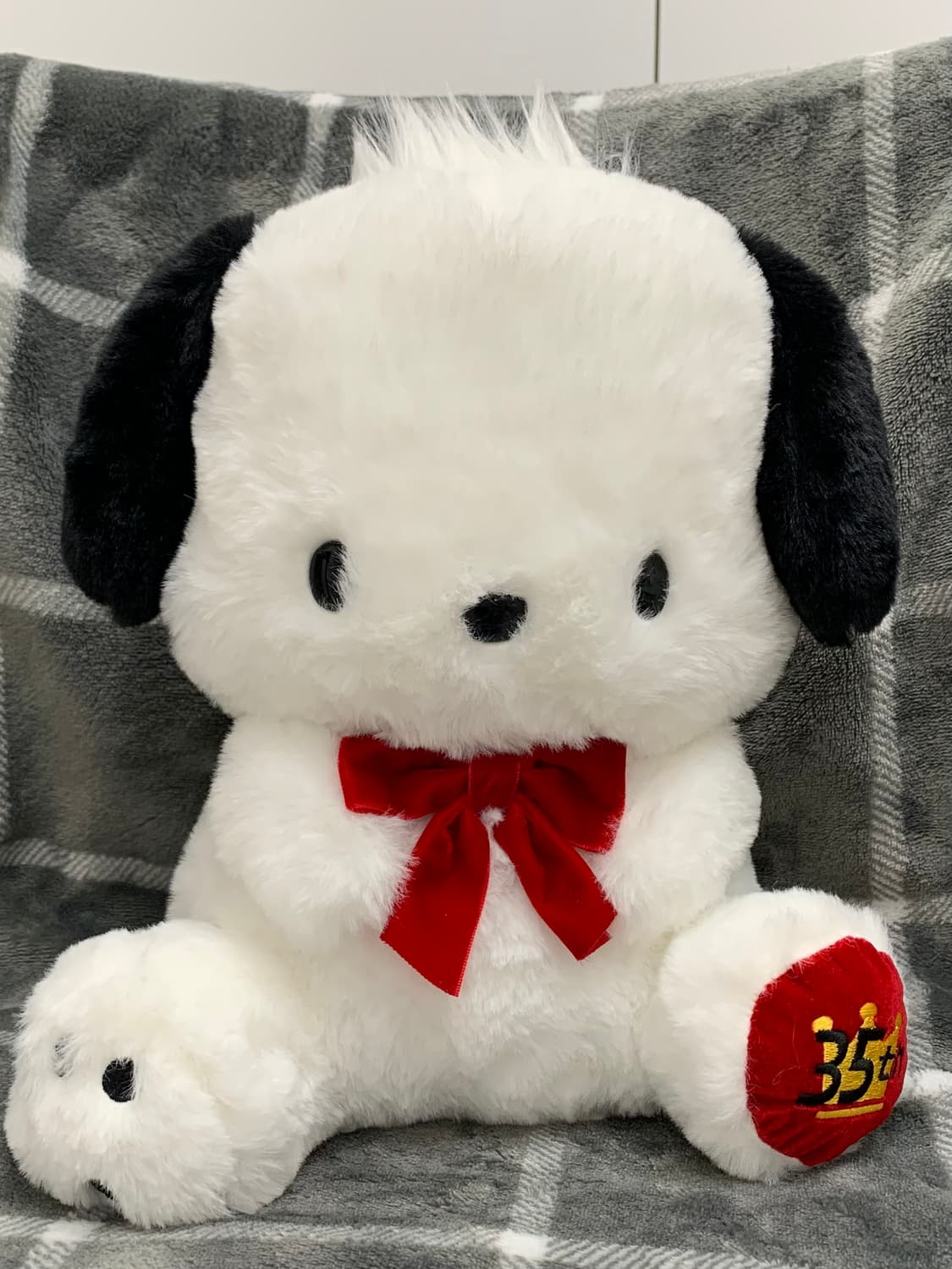 산리오 포챠코 인형 35주년 리본 봉제인형 상품이미지1