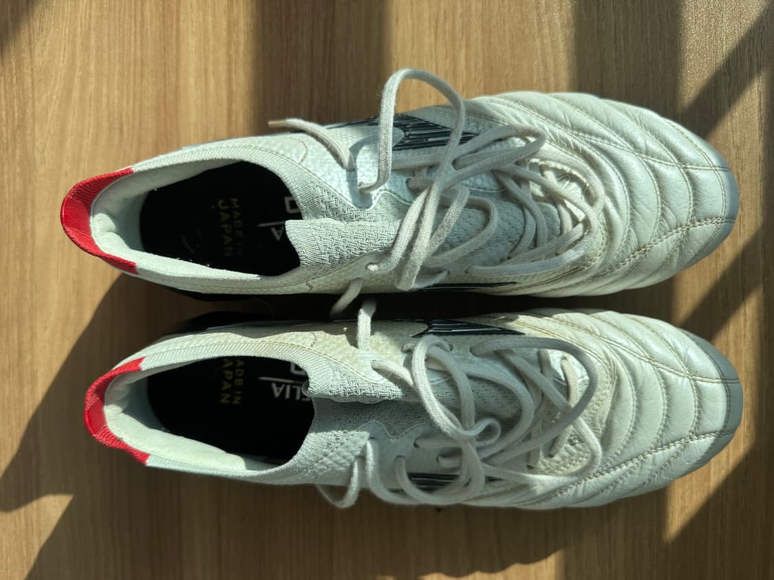 모렐리아 네오 상품이미지1