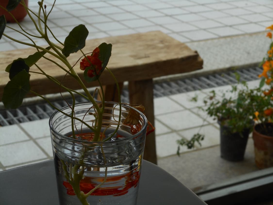 니콘 쿨픽스 S3700 실버 디카 상품이미지10