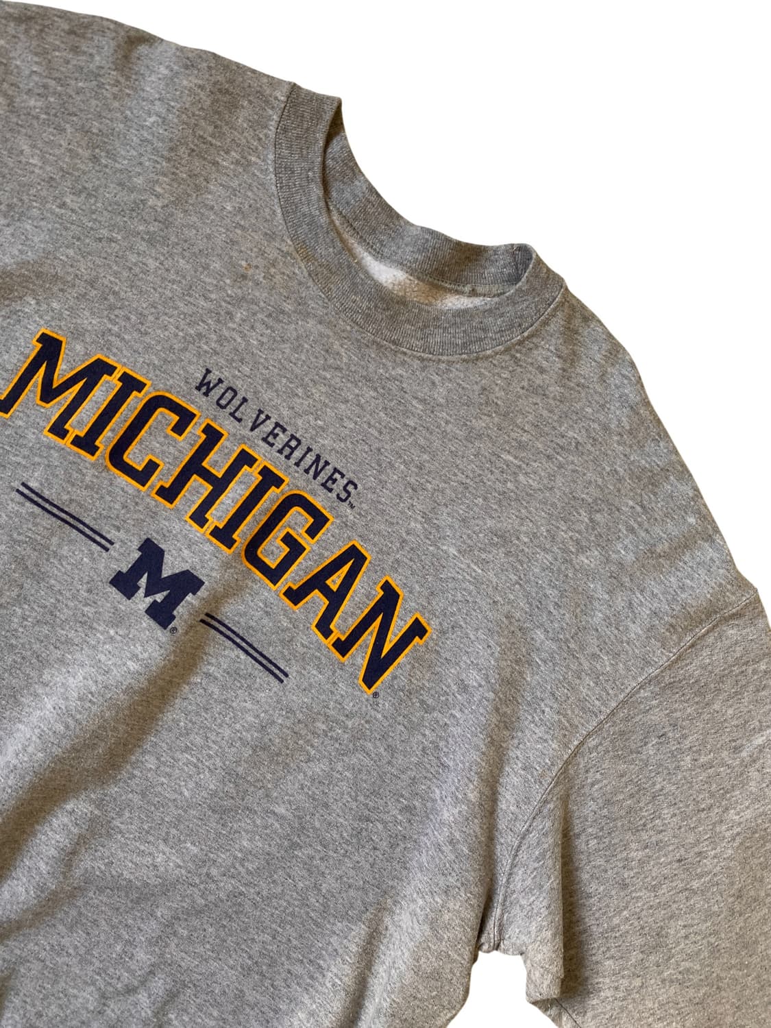 프루트 오브 더 룸 스웻셔츠 (Man XL) AB1343 상품이미지3