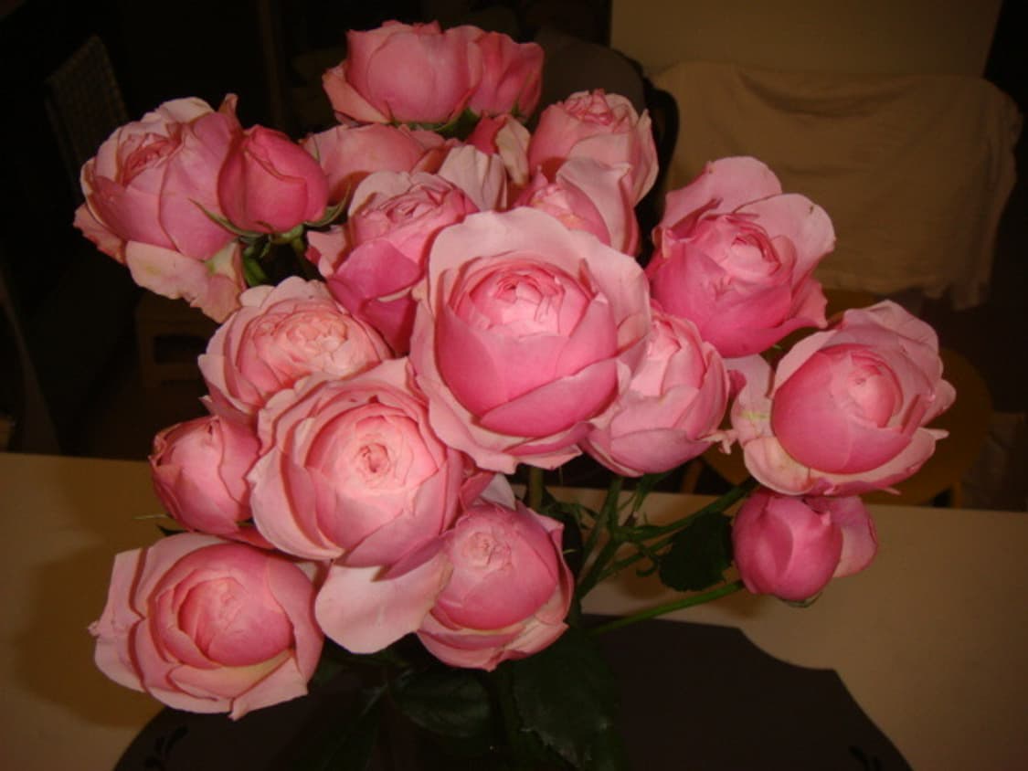 소니 사이버 샷 Sony Cyber-shot DSC-T100 상품이미지6