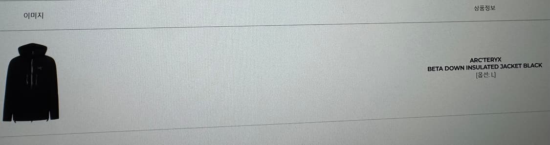 [L] 아크테릭스 베타 인슐레이트 다운 블랙 상품이미지10