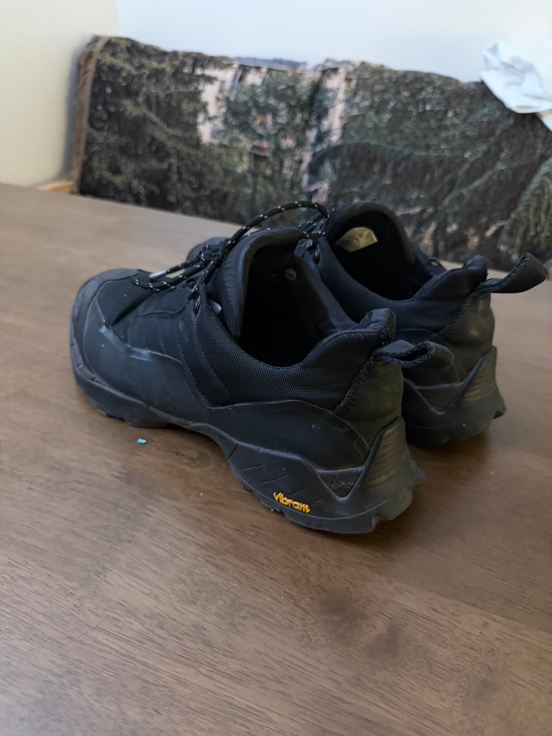 285) 로아 카타리나 상품이미지3