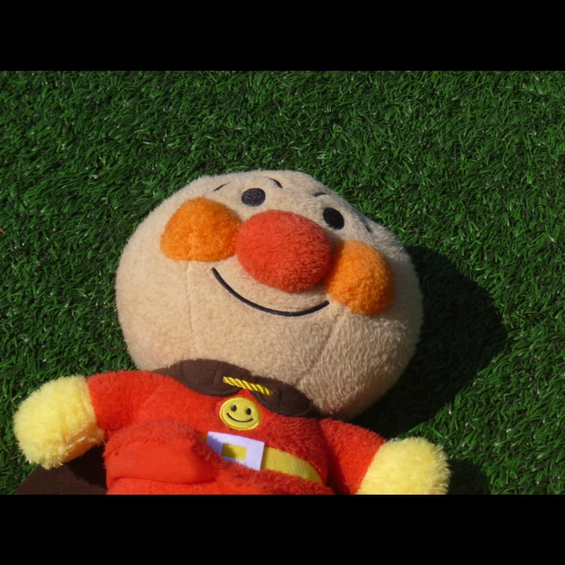 작례⭕️ 파나소닉 루믹스 DMC-FP7 상품이미지7