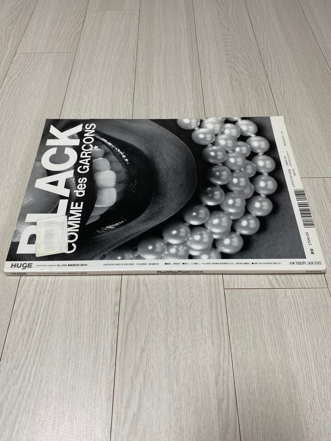2010 3 HUGE hi-end stle magazine No.066 상품이미지2