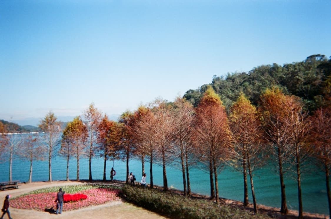 캐논 오토보이 루나 XL 필름 카메라 (빈티지 카메라) 상품이미지6