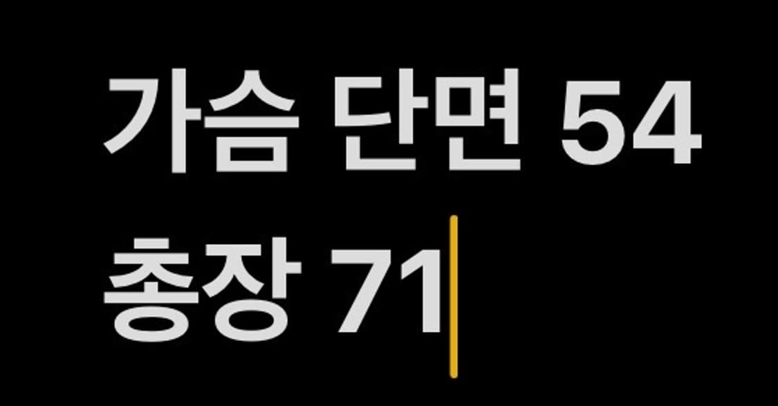 [정품/L,100] 노스페이스 워크 멀티포켓 베스트 b16 상품이미지8